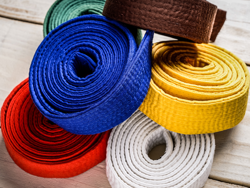Guide to Children's Karate Gradings